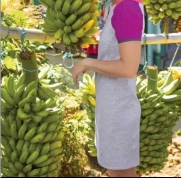 Title Nine Womens Unconventional Mini Dress Medium Gray Colorblock Short Sleeves - Picture 3 of 7